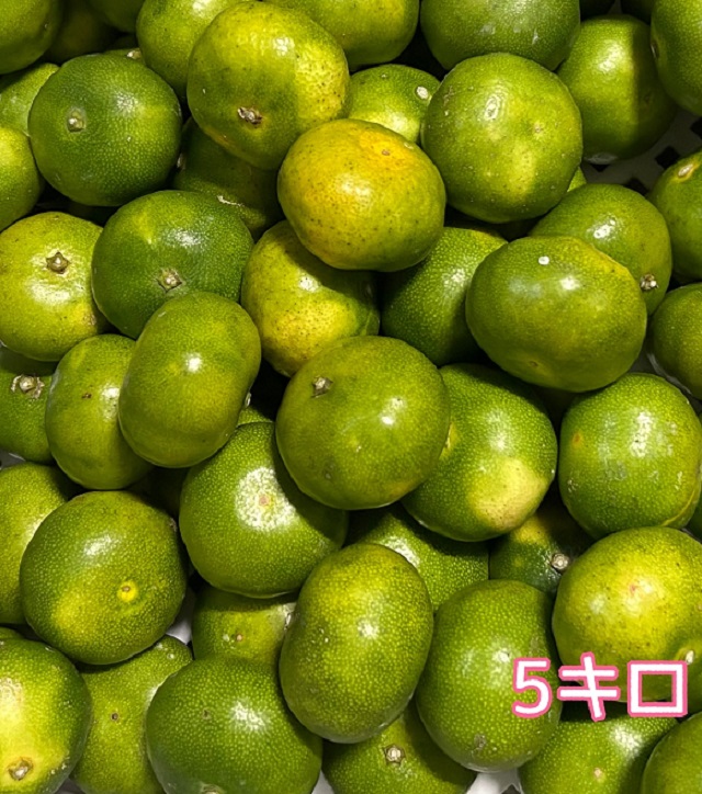 みかん