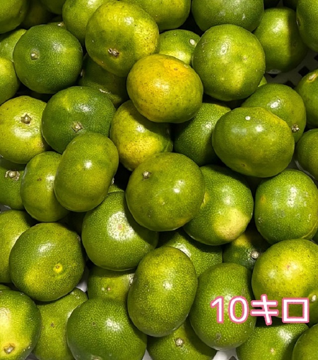 みかん